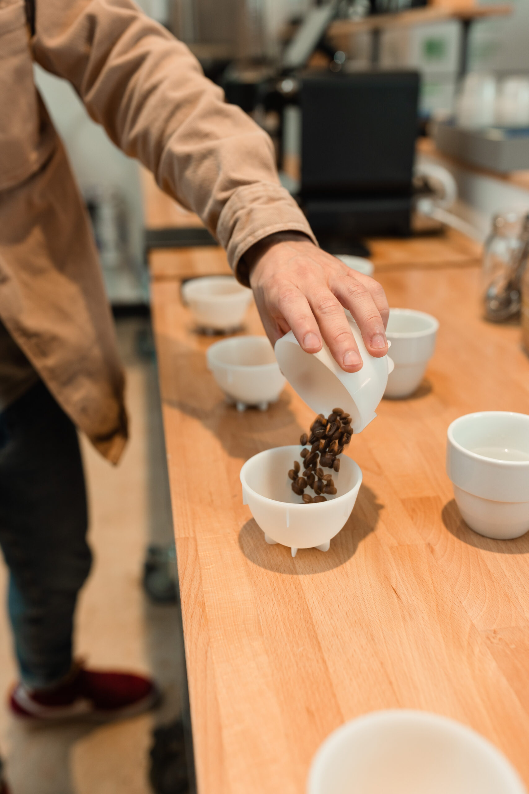 Coffee beans are poured into cupping cups for a cupping class